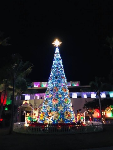 IMG_1878.jpg